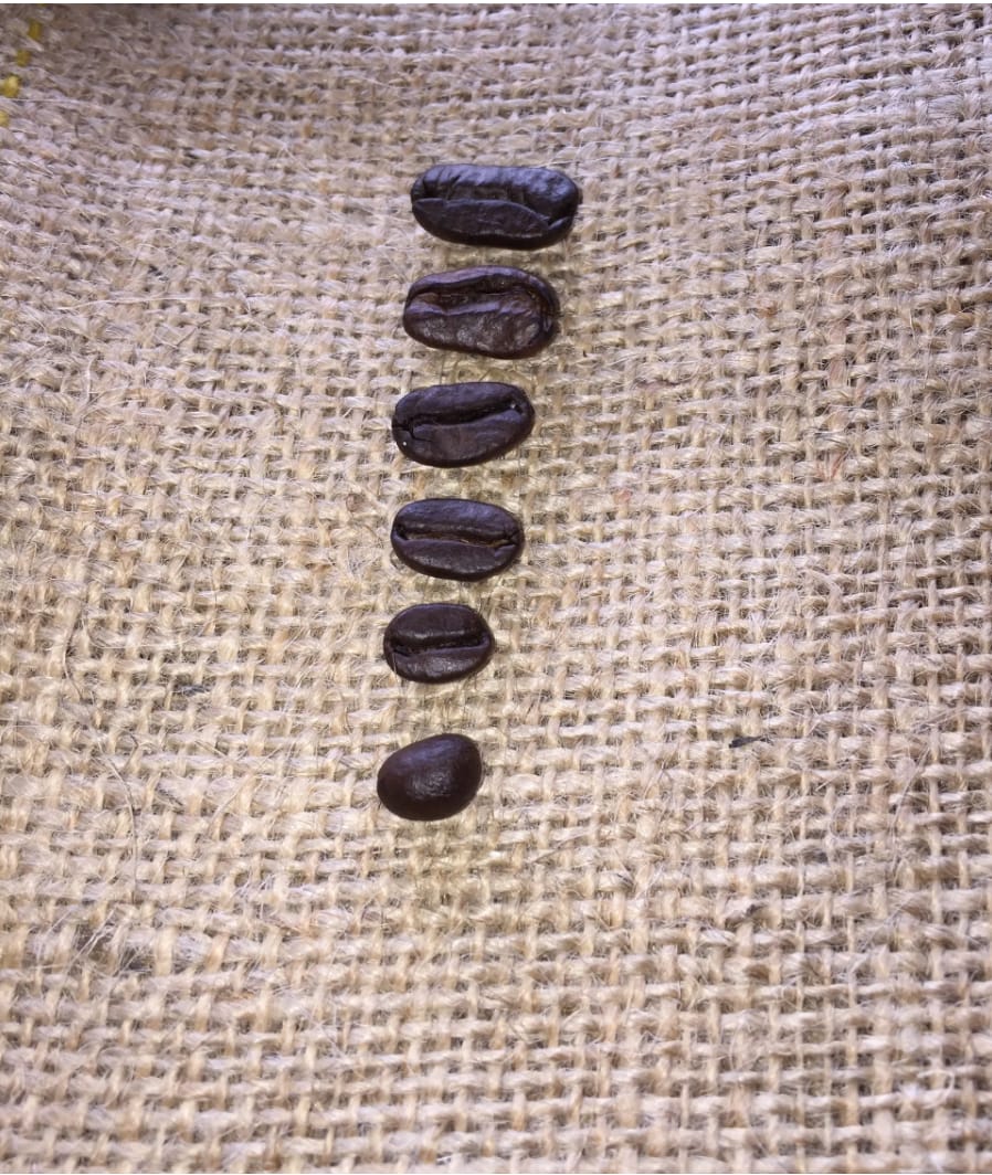 100% Hawaiian Kona Peaberry — Hawaii · Honaunau · South Kona